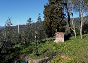 Giardino - Casa semi indipendente Via Carmignanese
 
401, Vinci - foto 19