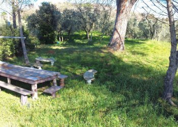 Giardino - Casa semi indipendente Via Carmignanese
 
401, Vinci - foto 21