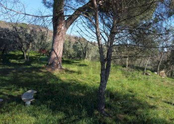 Giardino - Casa semi indipendente Via Carmignanese
 
401, Vinci - foto 22