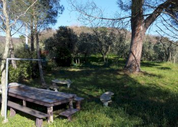 Giardino - Casa semi indipendente Via Carmignanese
 
401, Vinci - foto 23