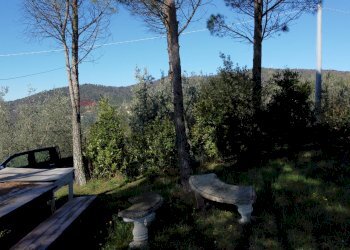 parco - Casa semi indipendente Via Carmignanese
 
401, Vinci - foto 24