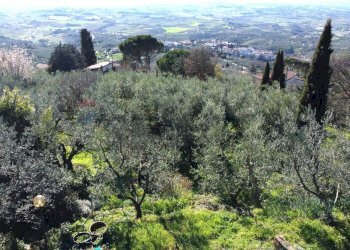 Vista delle montagne - Casa semi indipendente Via Carmignanese
 
401, Vinci - foto 25