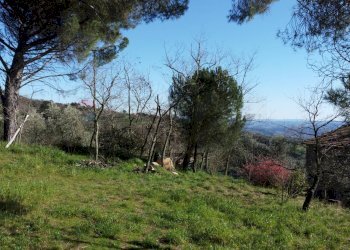 parco - Casa semi indipendente Via Carmignanese
 
401, Vinci - foto 28