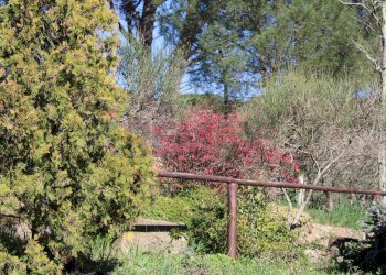 Giardino - Casa semi indipendente Via Carmignanese
 
401, Vinci - foto 29