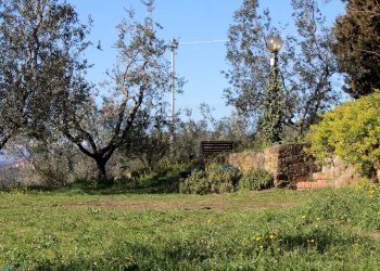 Giardino - Casa semi indipendente Via Carmignanese
 
401, Vinci - foto 30