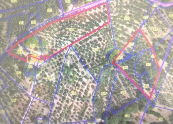 Posizione della mappa - Casa semi indipendente Via Carmignanese
 
401, Vinci - foto 48