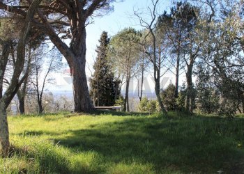 parco - Casa semi indipendente Via Carmignanese
 
401, Vinci - foto 49