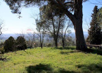 Giardino - Casa semi indipendente Via Carmignanese
 
401, Vinci - foto 50