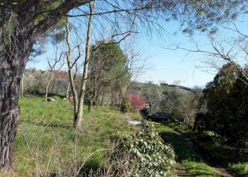 Giardino - Casa semi indipendente Via Carmignanese
 
401, Vinci - foto 51