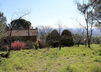 Giardino - Casa semi indipendente Via Carmignanese
 
401, Vinci - foto 52