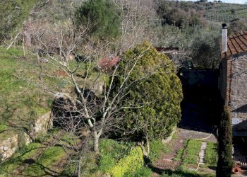 Giardino - Casa semi indipendente Via Carmignanese
 
401, Vinci - foto 59