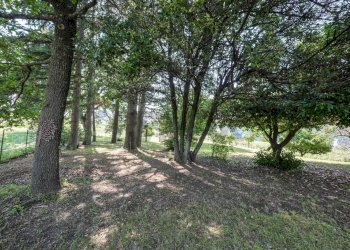 Giardino - Rustic VIA VALLETTA
 
28, Brisighella - photo 20