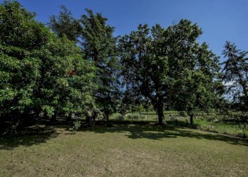 Giardino - Rustic VIA VALLETTA
 
28, Brisighella - photo 23