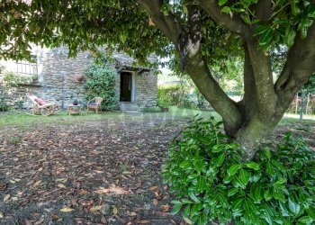 Giardino - Rustico VIA VALLETTA
 
28, Brisighella - foto 25