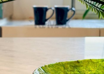 Dettagli - Trilocale VIA ABATE MINI
 
1, Castrocaro Terme e Terra del Sole - foto 5