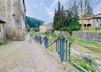 Giardino - Casa semi indipendente VIA ROMA
 
28, Tredozio - foto 42