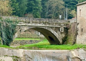 Giardino - Casa semi indipendente VIA ROMA
 
28, Tredozio - foto 43