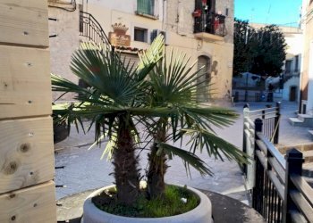 Edificio all\'aperto - Quadrilocale CORSO UMBERTO PRIMO
 
45, Deliceto - foto 32