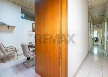 Hall / corridoio - Ufficio Via Ettore Petrolini
 
11, Roma - foto 17