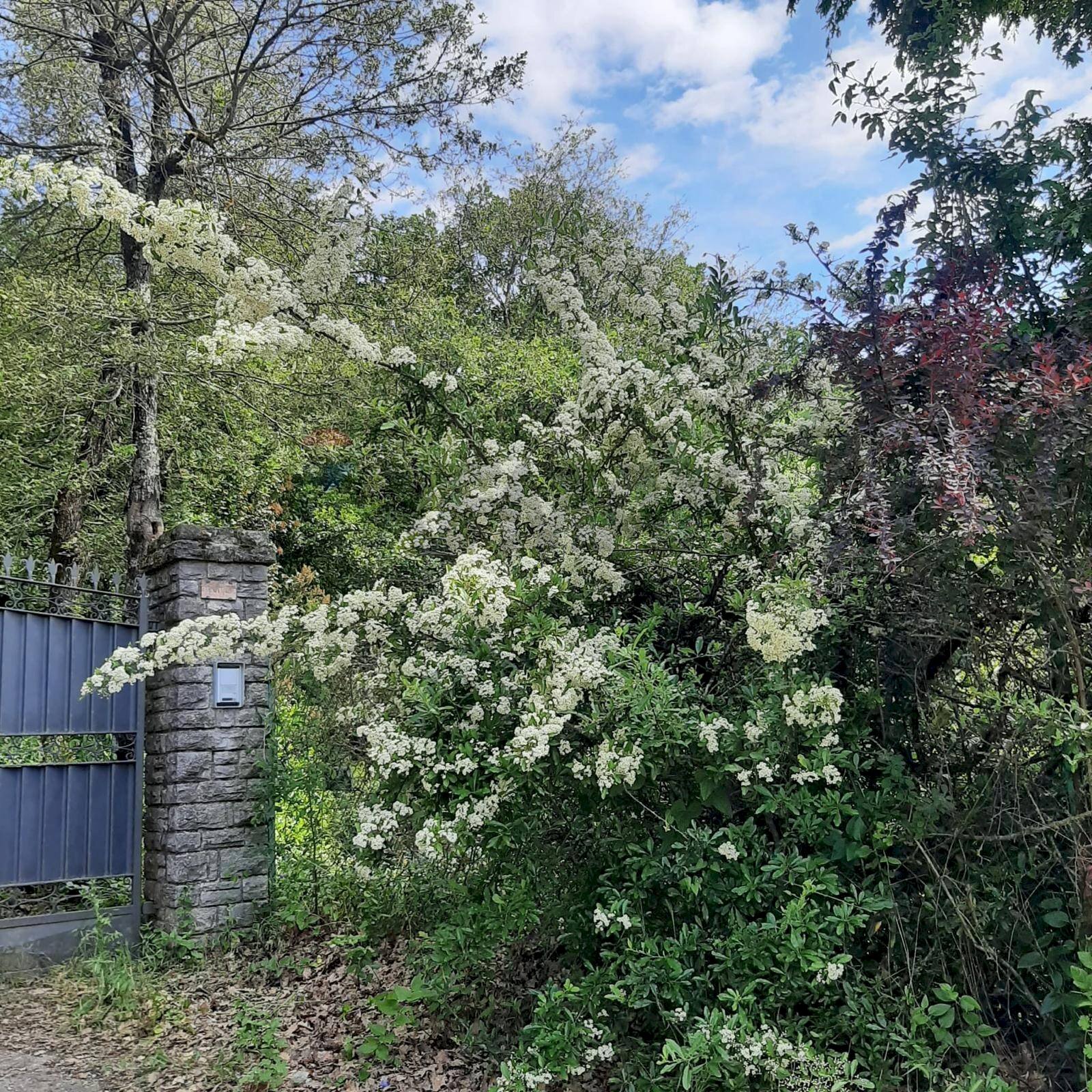 Giardino - Casa indipendente Magione - foto 2