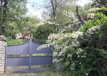 Giardino - Casa indipendente Magione - foto 9