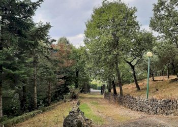 Giardino - Casa indipendente Magione - foto 16