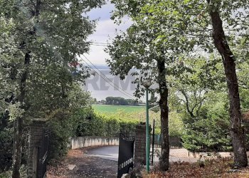 Giardino - Casa indipendente Magione - foto 24