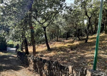 Giardino - Casa indipendente Magione - foto 30