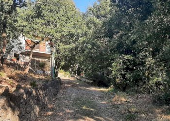 Giardino - Casa indipendente Magione - foto 38