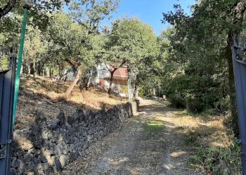 Giardino - Casa indipendente Magione - foto 40