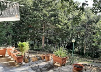 Giardino - Casa indipendente Magione - foto 41