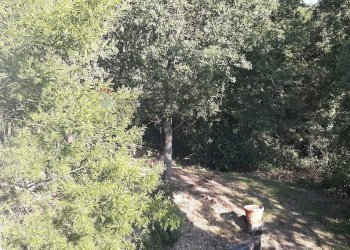 Giardino - Casa indipendente Magione - foto 42