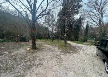 Giardino - Independent house Pian Della Pieve-Ponte Grande, Assisi - photo 29