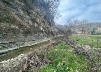 Giardino - Independent house Pian Della Pieve-Ponte Grande, Assisi - photo 37