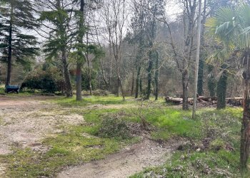 Giardino - Independent house Pian Della Pieve-Ponte Grande, Assisi - photo 38