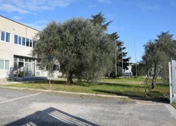 Edificio all\'aperto - Capannone Aprilia - foto 5