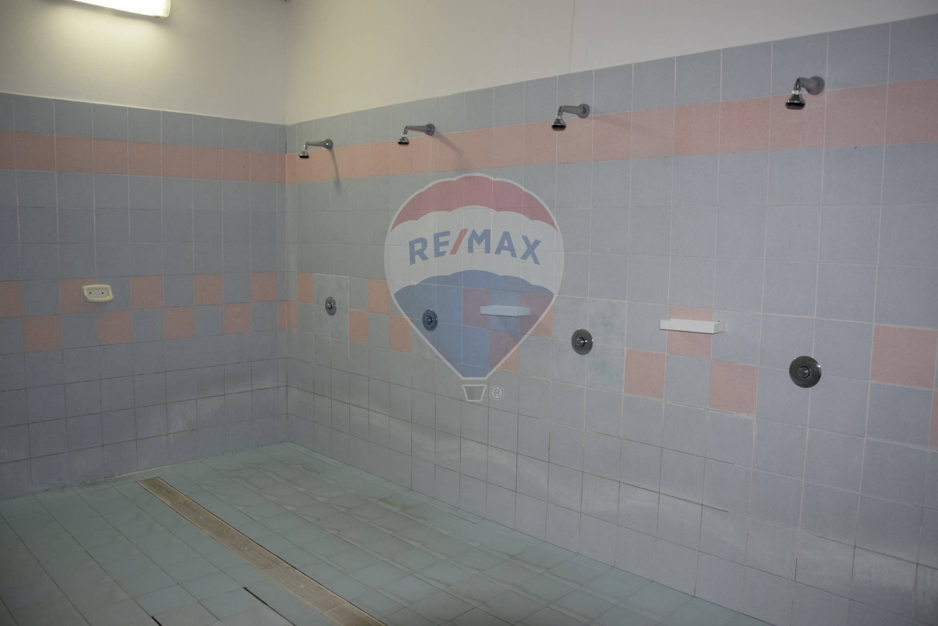 Bagno - Locale Commerciale Pomezia - foto 2