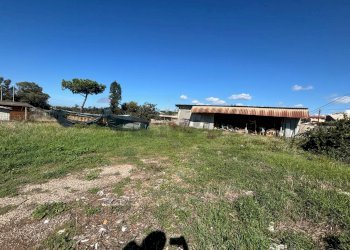 Giardino - Building land Anzio - photo 8