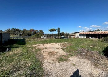 Giardino - Building land Anzio - photo 10