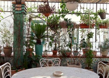 Balcone - Appartamento Salerno - foto 18