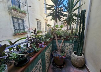 Balcone - Appartamento Salerno - foto 24