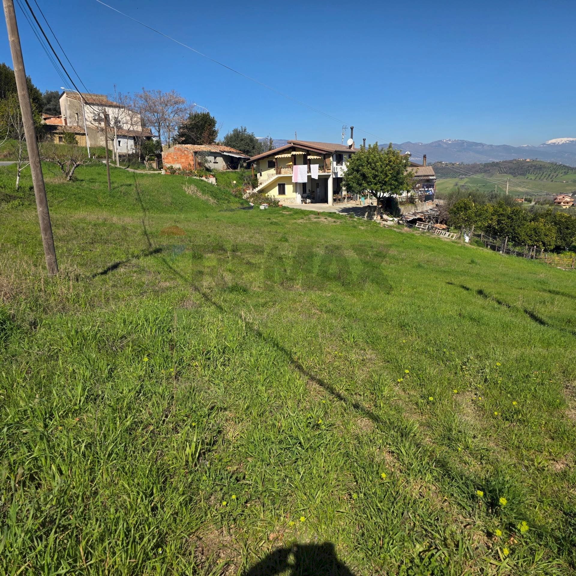 Giardino - Terreno edificabile c.da Bonavita, San Marco Argentano - foto 2