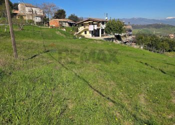 Giardino - Terreno agricolo c.da Bonavita, San Marco Argentano - foto 2