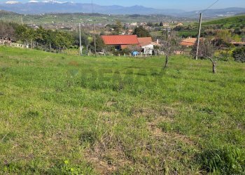 Vista delle montagne - Terreno agricolo c.da Bonavita, San Marco Argentano - foto 4