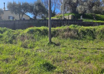 Giardino - Terreno agricolo c.da Bonavita, San Marco Argentano - foto 6