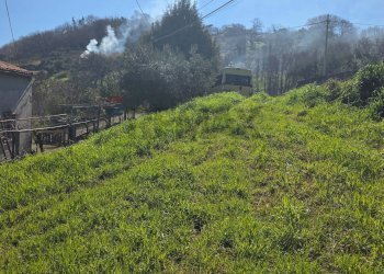 Vista delle montagne - Terreno agricolo c.da Bonavita, San Marco Argentano - foto 7