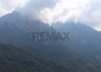 Vista delle montagne - Rustic via Anna Maria Ponzinibio
 
7, Primaluna - photo 20