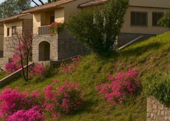 Giardino - Terreno edificabile via dei pini, San Casciano in Val di Pesa - foto 8