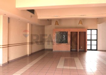 Ricezione / Lobby - Commercial Premises San Quirico
 
203/205, Campi Bisenzio - photo 4