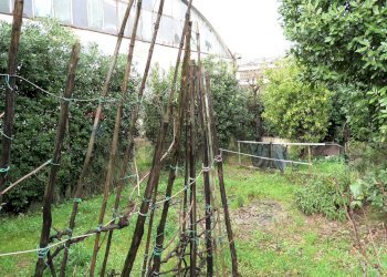 Giardino - Commercial Premises San Quirico
 
203/205, Campi Bisenzio - photo 21